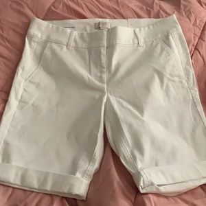 Loft BERMUDA ROLl SHORT new tag